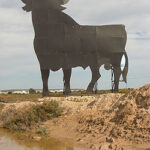 spanianovember08-071