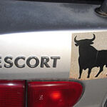 spanianovember08-102