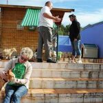 Refugio_de_Animales_La_Nucia