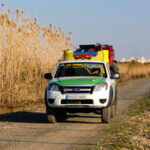 2012-03-23-mosquitos-03-g