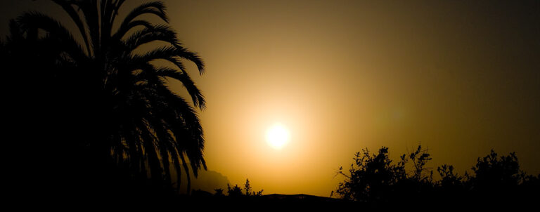 Noe i AlteaNoe i AlteaNoe i Altea Noe i AlteaNoe i AlteaNoe i Altea