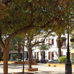 799px-torrevieja__plaza_de_la_constitución_y_ayuntamiento.jpg
