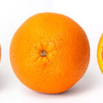 orange_and_cross_section.jpg