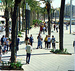 pjaparicio-04-g.jpg pjaparicio-04-g.jpg