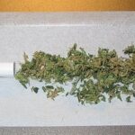 porro a medio hacer.jpg