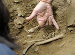 restos_humanos_hallados_exhumacion_santa_marta_tera_0.jpg