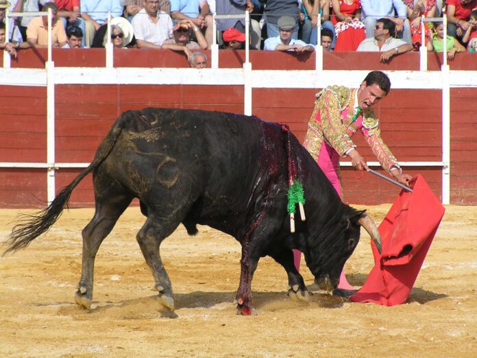 toros_11.2.14jpg.jpg toros_11.2.14jpg.jpg