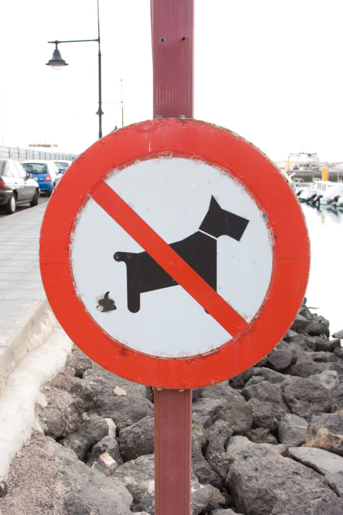 corralejo_harbour_-_no_dogs_-_amended_3081211882.jpg