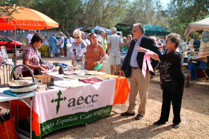 aecc.jpg Innsamlingsaksjon: Bildet er fra kreftforeningens sommerkonsert i 2013.