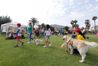 Albir: Gratiskurs for hundeeiere