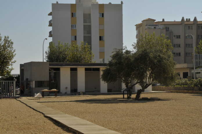 _dsc8374.jpg _dsc8374.jpg