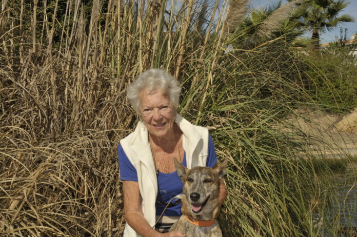 _dsc8381.jpg _dsc8381.jpg