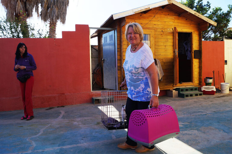 Reddet av norske Rita