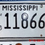 usa_plate_2.jpg