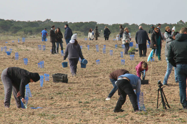 planting.jpg planting.jpg