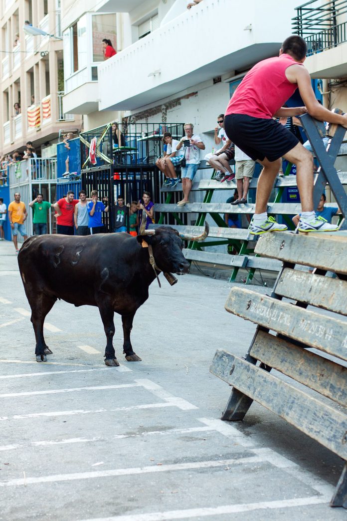 Okseløp i Calpe Okseløp i Calpe
