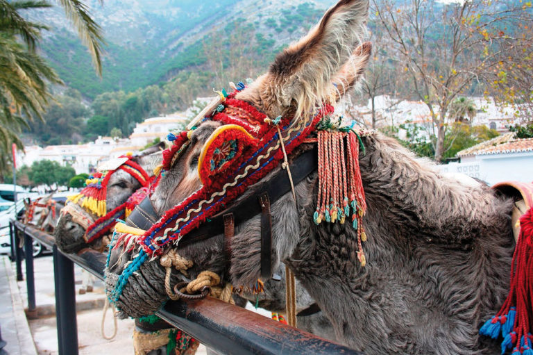Mijas, hvor du fortsatt kan «kjøre esel» hjem fra baren