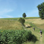 Santiago de Campostela