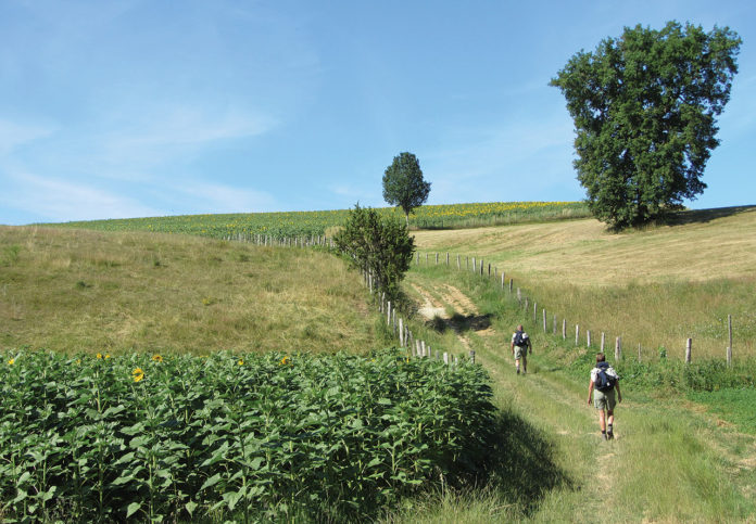 Santiago de Campostela