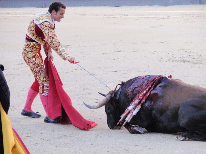 800px-bullfighting_in_madrid_4141538056.jpg
