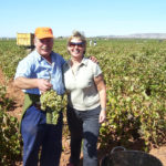 Den Norske Klubben Costa Blancas vinklubb, VinoGastro