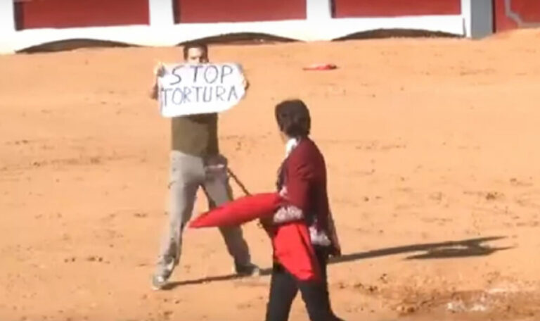 Kalte tyrefekter «dyremishandler» – saksøkt for ærekrenkelser