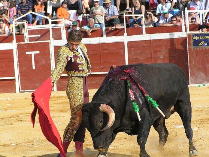 800px-torero.jpg