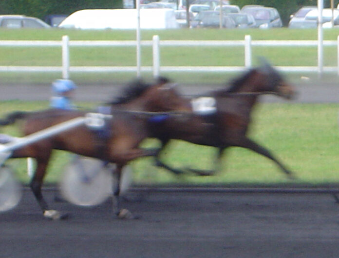 sulky_racing_vincennes_dsc03754_cropped.jpg