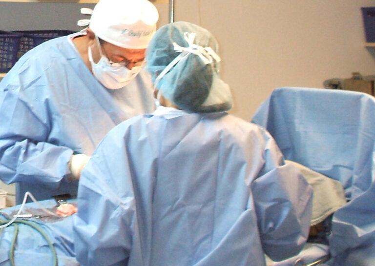 Ny rekord i antall transplantasjoner