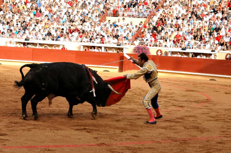 Ja til tyrefekting samlet tusener