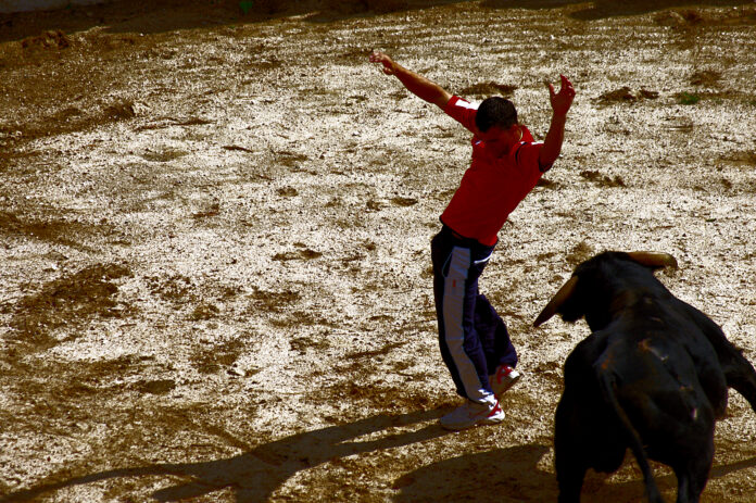 En ung «recortador» kommer seg unna oksens horn under et stevne i Albacete (2007).