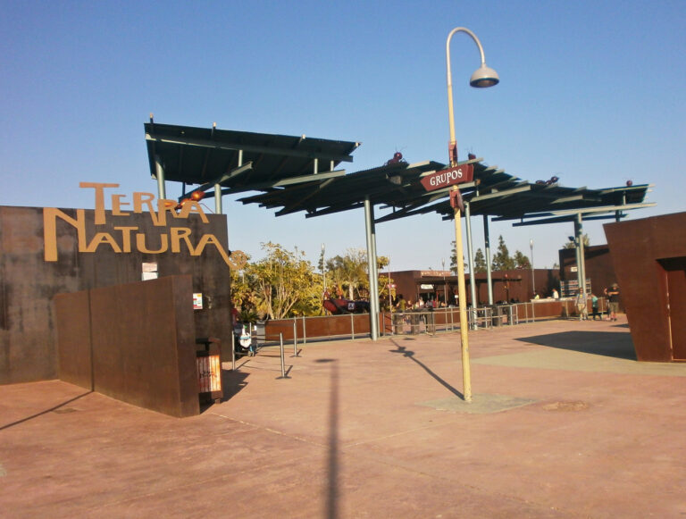 Kvinne drept av tiger i Benidorm