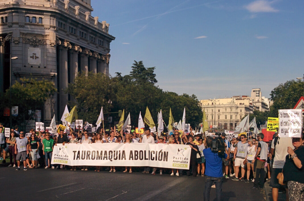 Foto: Demonstrasjon mot tyrefekting og okseløp i Madrid lørdag 10. september (PACMA). 