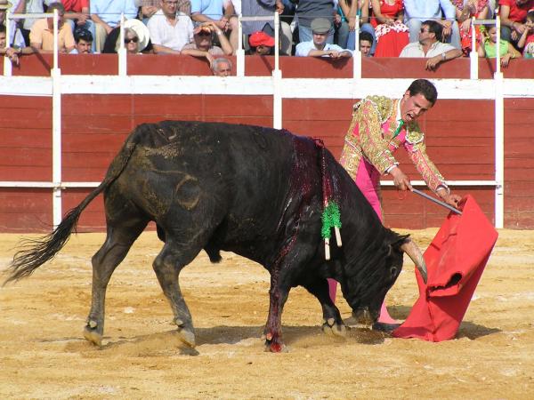 lancetoros.jpg lancetoros.jpg