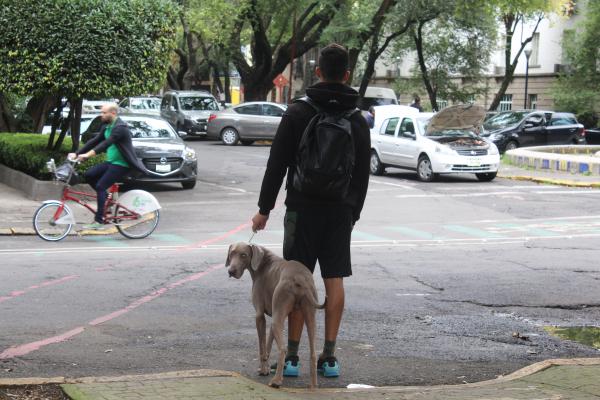 hombre_y_perro_en_parque_espana_ciudad_de_mexico.jpg
