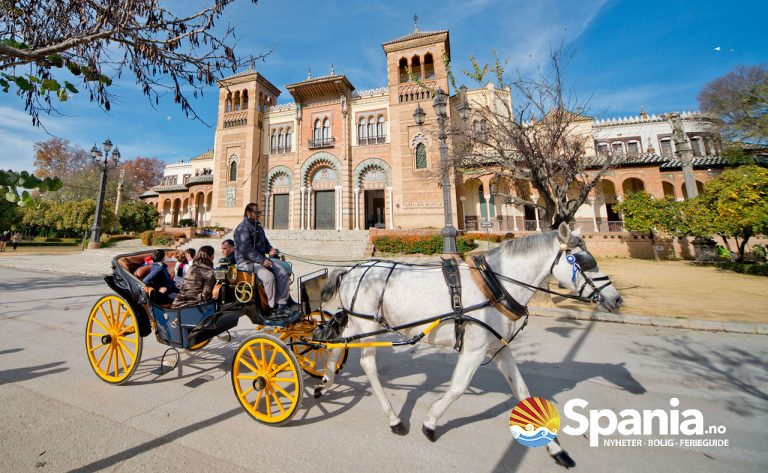 Hestedrosjene i Marbella skal forbys