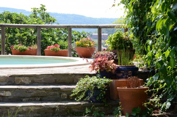 Eiendomssalget fortsetter å øke