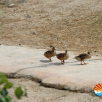 Terra Natura Benidorm