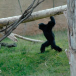 Terra Natura Benidorm