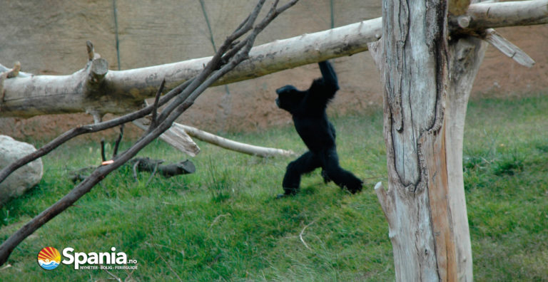 Terra Natura Benidorm
