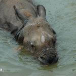 Terra Natura Benidorm