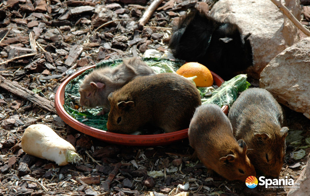 Terra Natura Benidorm