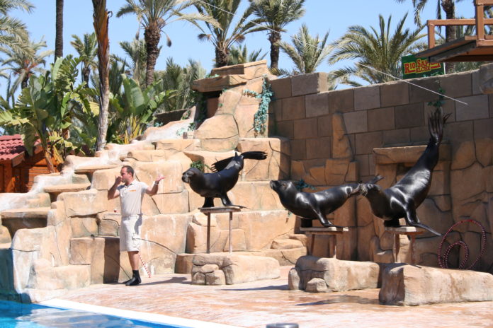Elche-Rio-Safari