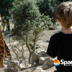 alicante-safari-aitana-DSC_5784