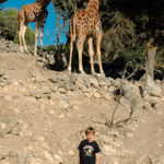 alicante-safari-aitana-DSC_5806