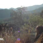 alicante-safari-aitana-DSC_5889