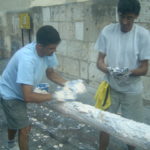 la-tomatina-smør-pålen