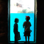 mundomar-benidorm-DSC_2020