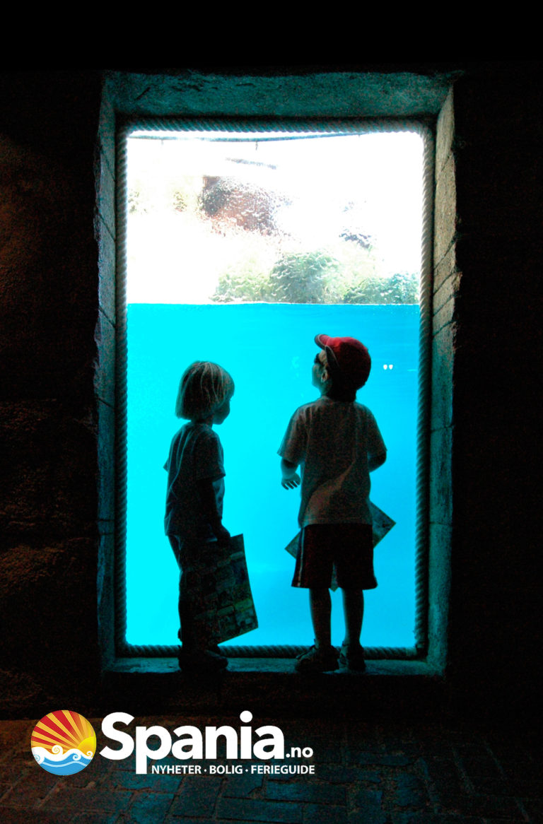 Agualandia og Mundomar åpner