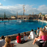 mundomar-benidorm-DSC_2041